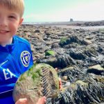 Whitby to Saltwick Fossil Safari : With The Rock Showman