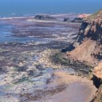 Whitby - Private Hire Fossil Safari