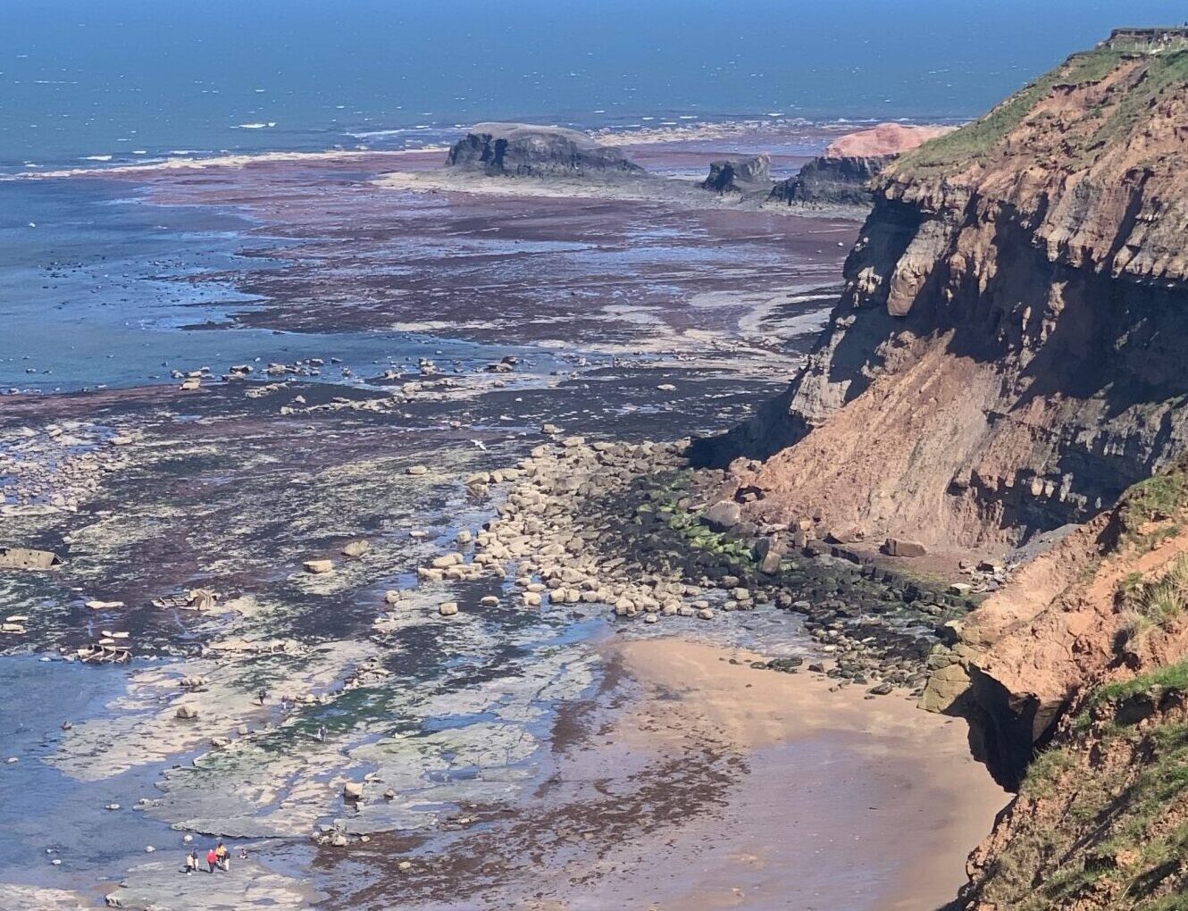 Whitby - Private Hire Fossil Safari