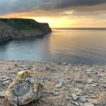 Sandsend - Private Hire Fossil Safari