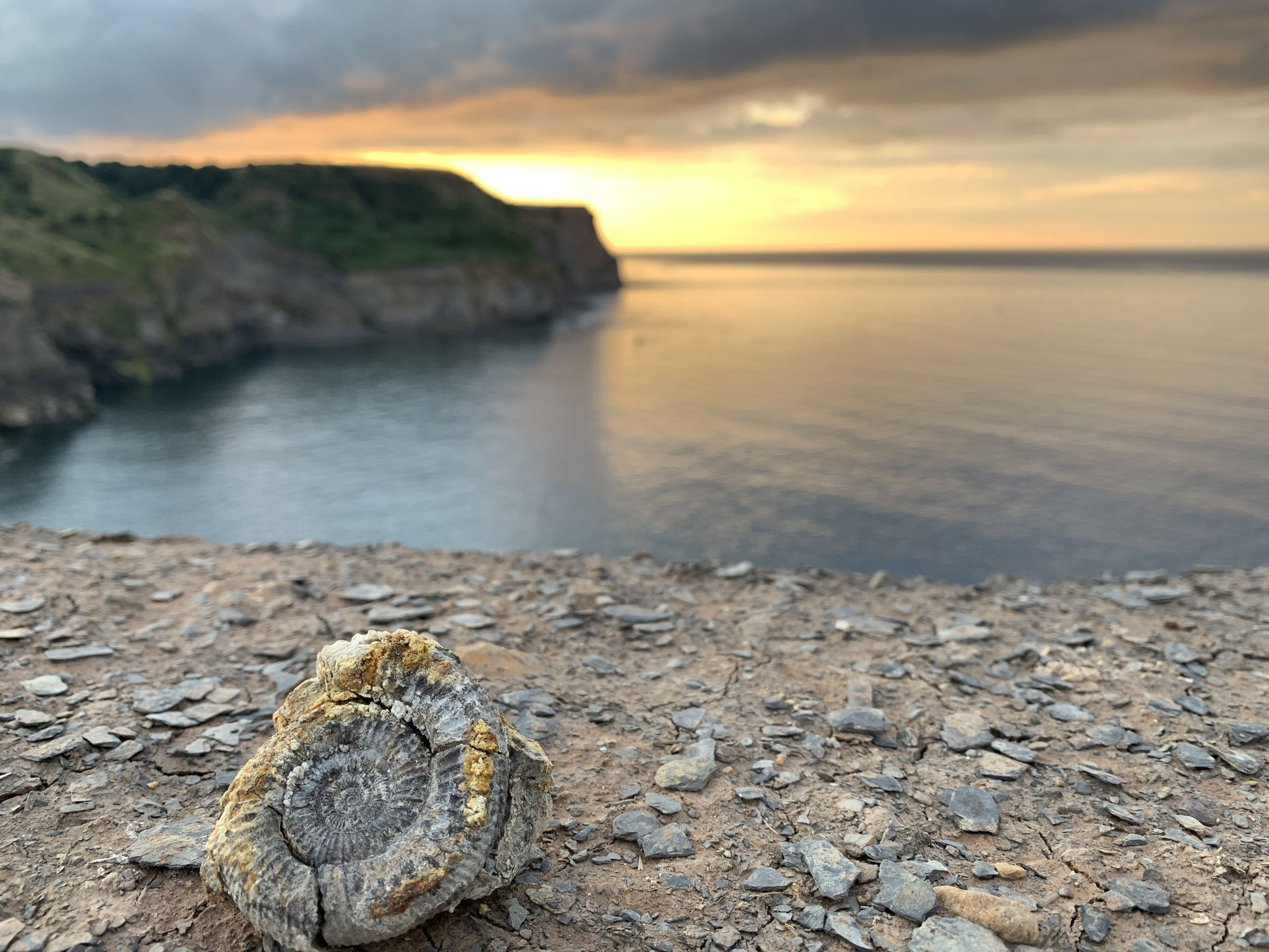 Sandsend - Private Hire Fossil Safari